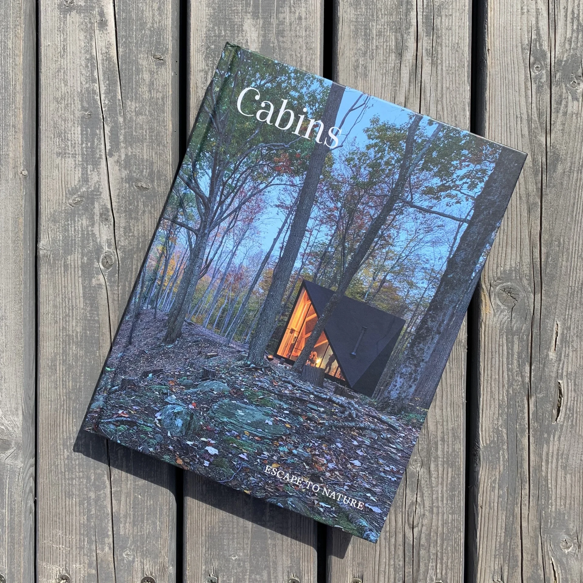 Cabins book cover on wooden deck