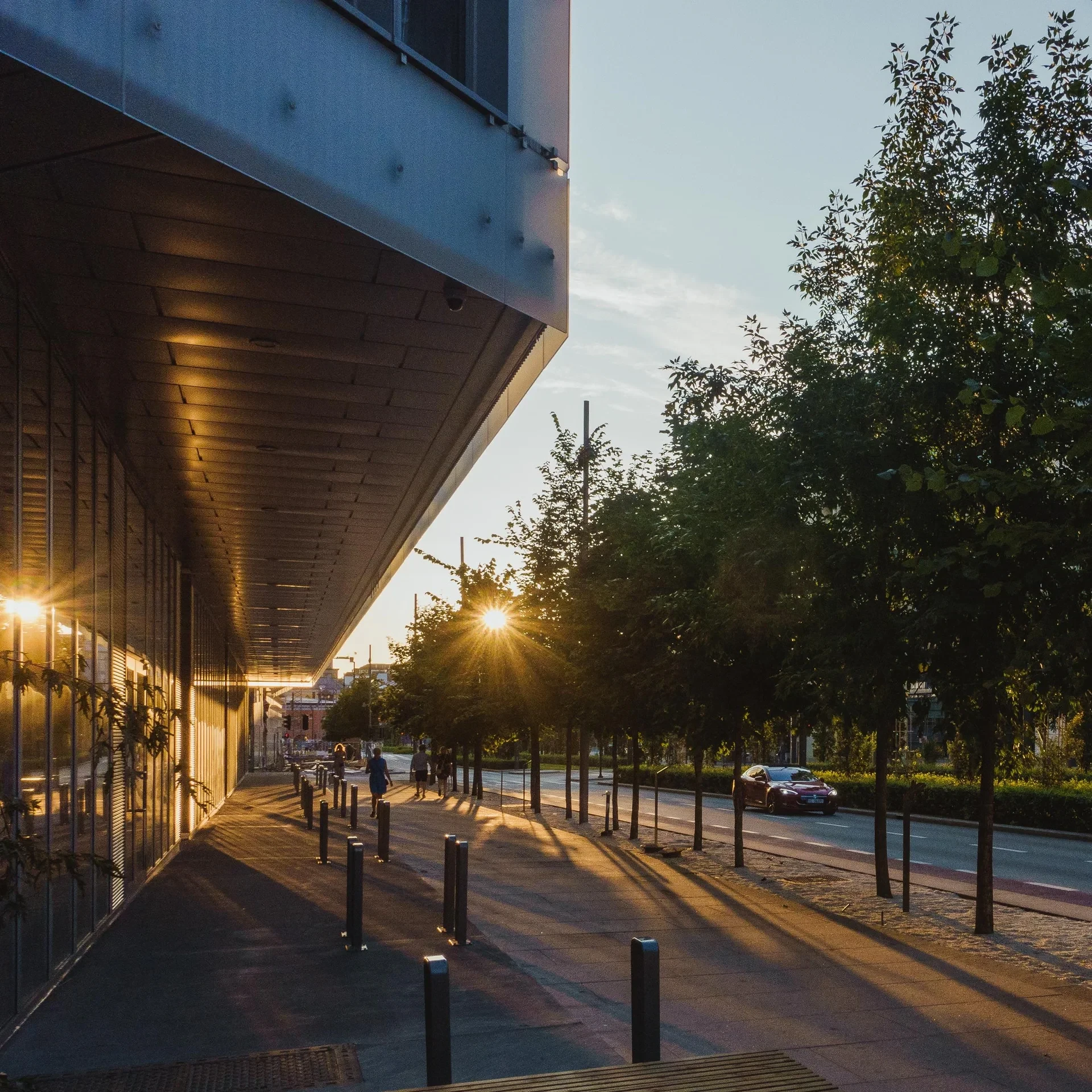 Tree-lined waterfront promenade at sunset