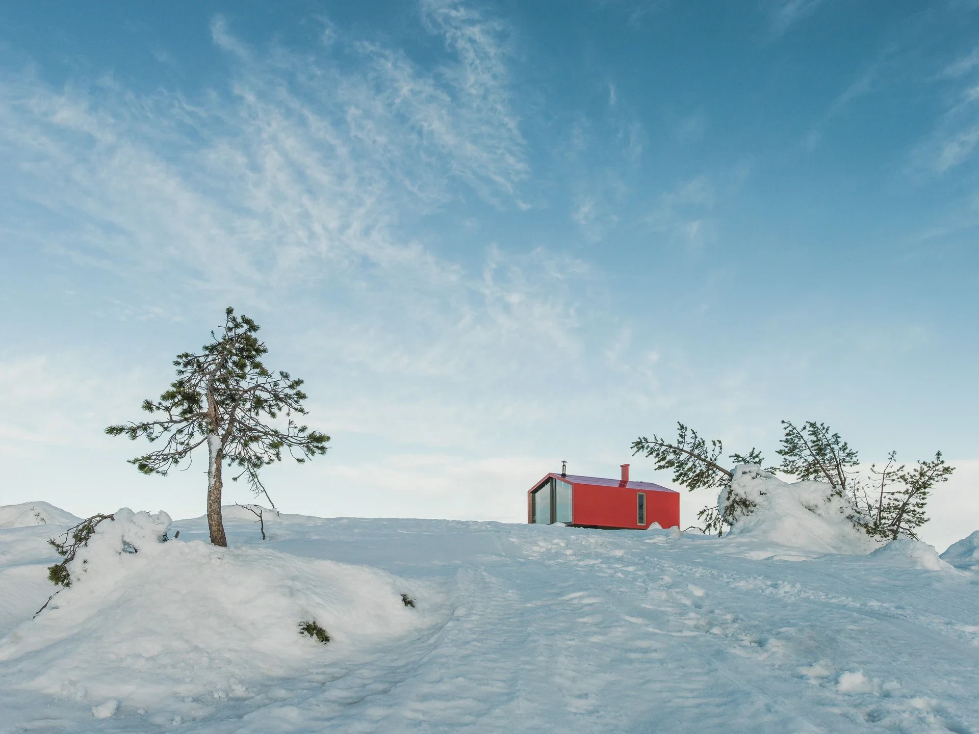 Red cabin and lone pine in snow